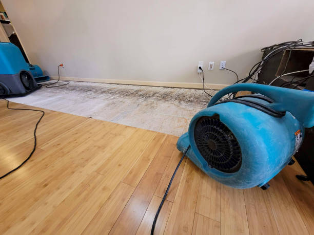 Professional Sewage Cleanup technician working in Fairfield, ME